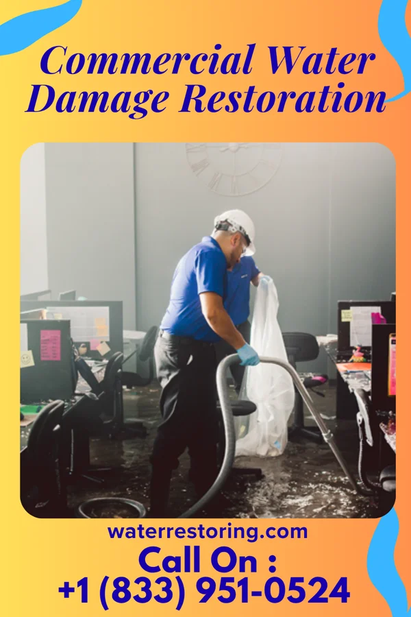 Commercial Water Damage Restoration in Cuyamungue, NM